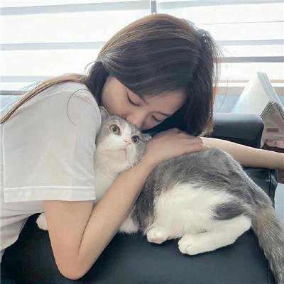 老捕快